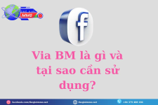 1761984415410.png 1761984415410.png