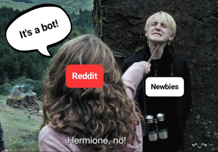 91ad6_harrypottermemes5.jpeg
