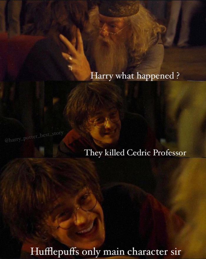 2bbfa_harrypottermeme10.jpeg