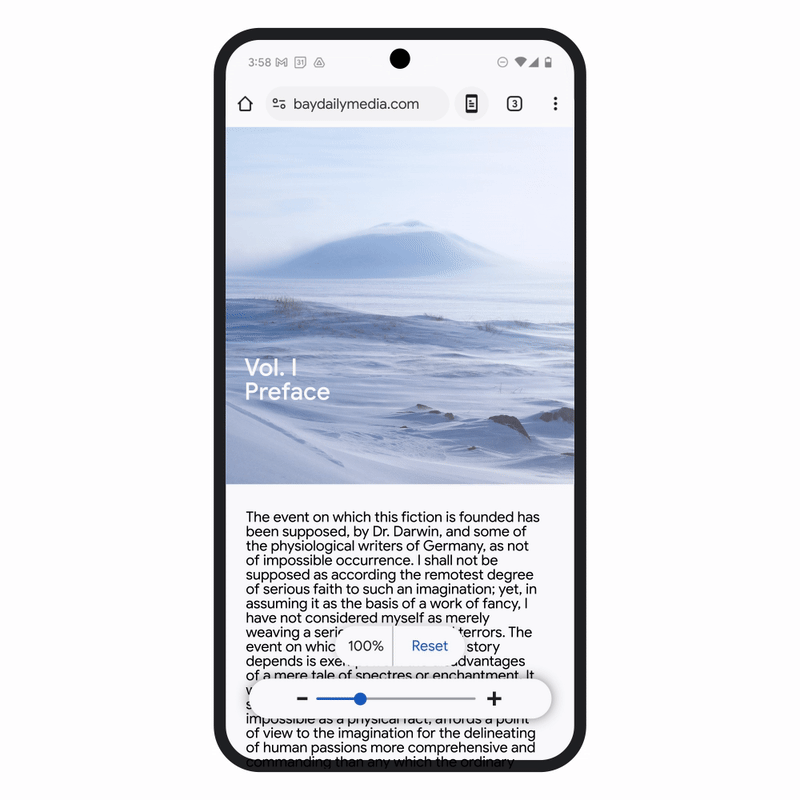 google-chrome-zoom-page.gif