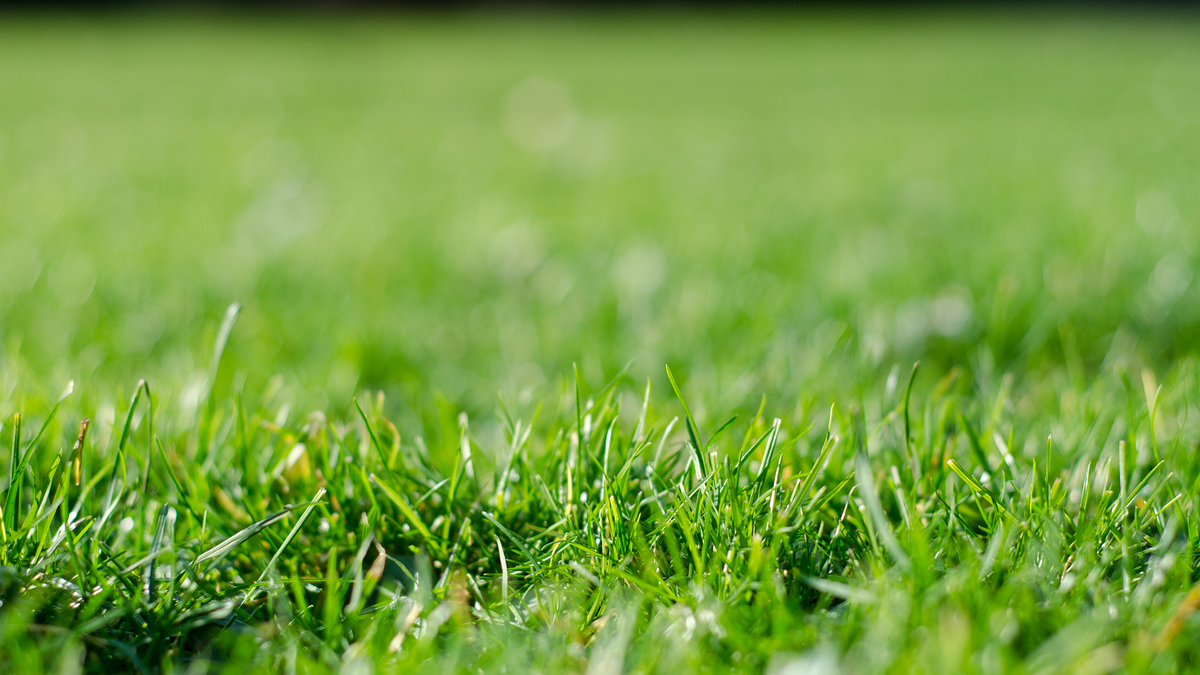 dHsEUzfZmKrM4bfKK45LCG-1200-80.png