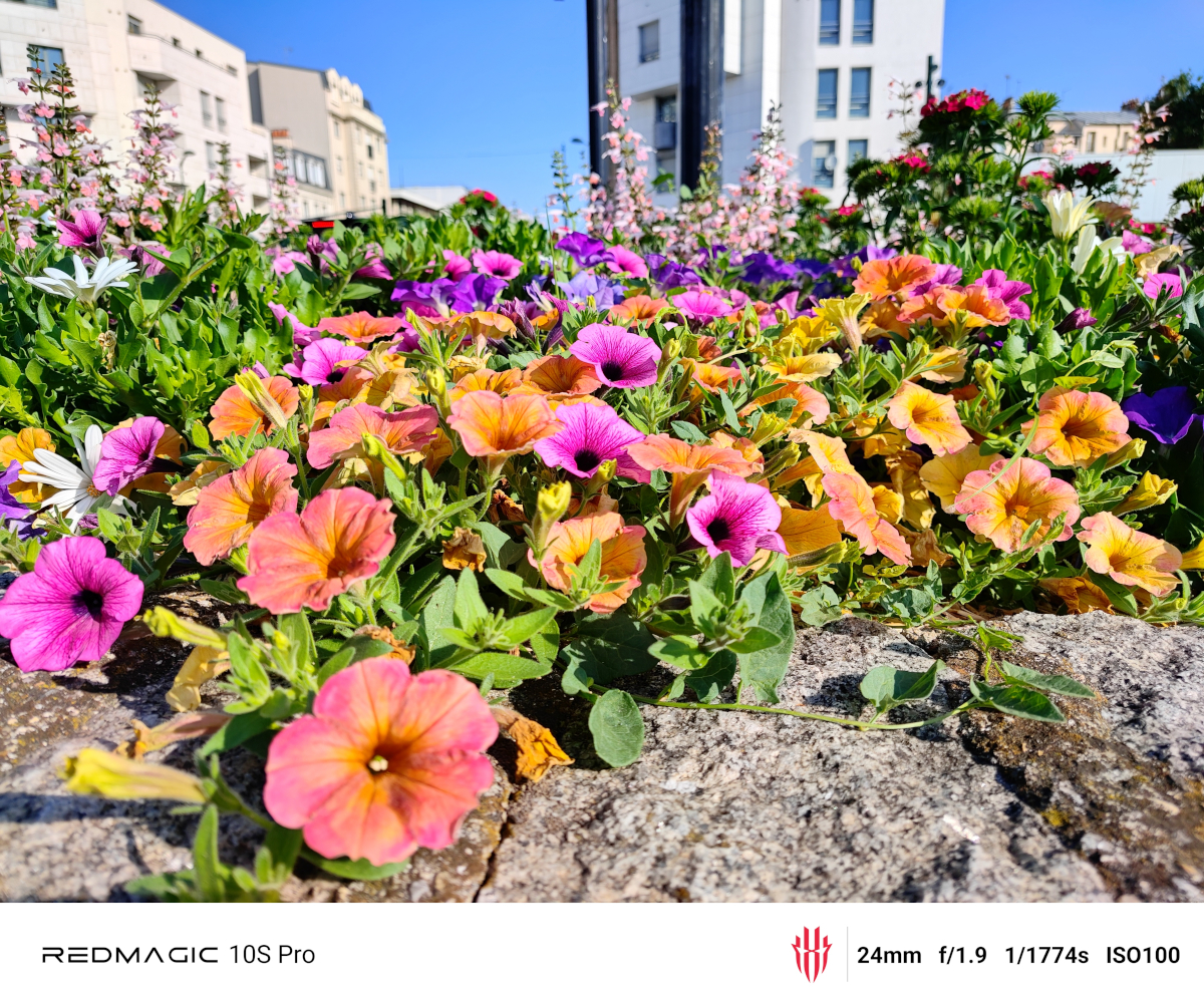 redmagic-10s-pro-test-31.jpg