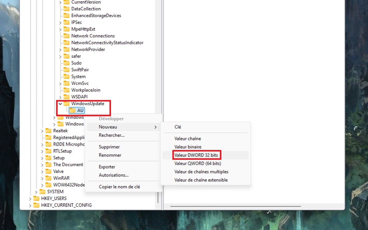 Registre_Windows_11_5.jpg