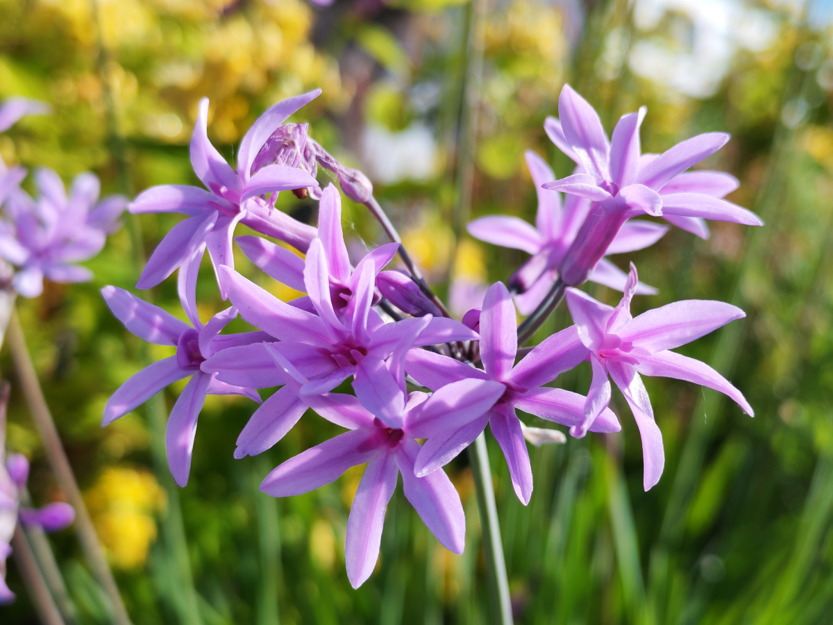 honor-400-test-12.jpg