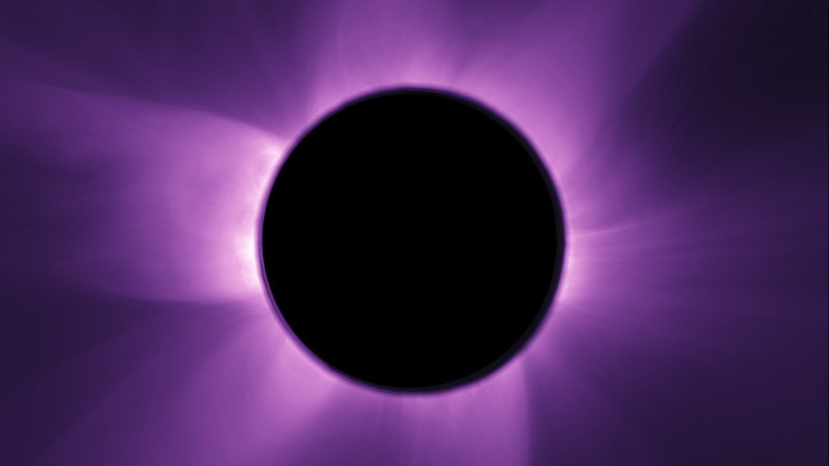 tYBShwSedkqsiHaMSKpPNL-1200-80.jpg