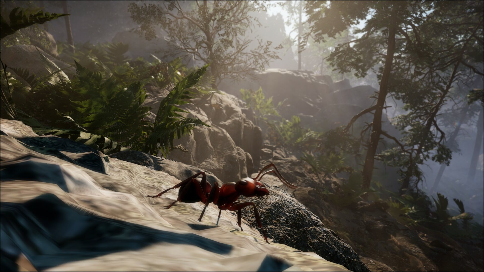 Les-Fourmis-fourmi.jpg