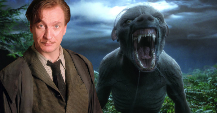 6e8c2_remuslupinharrypotter.png