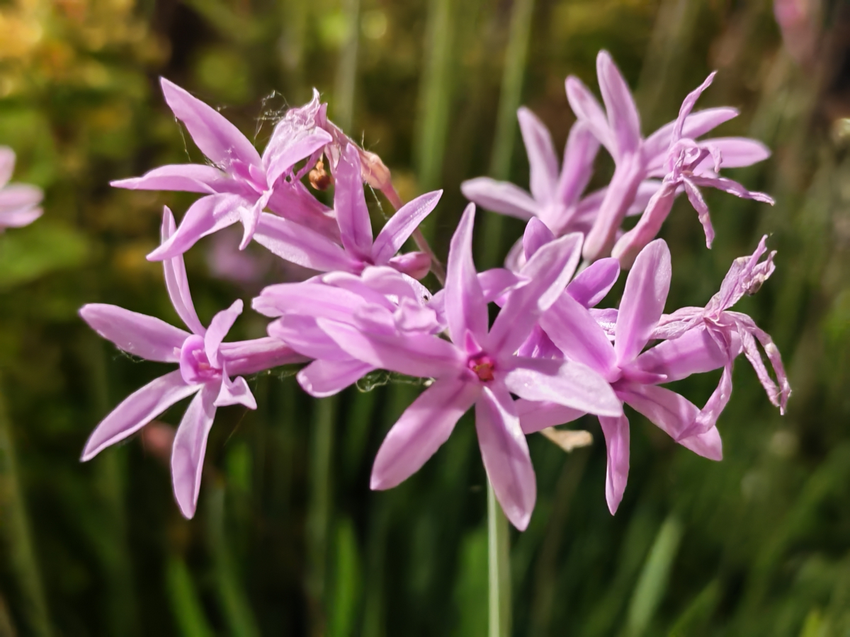 honor-400-test-15.jpg