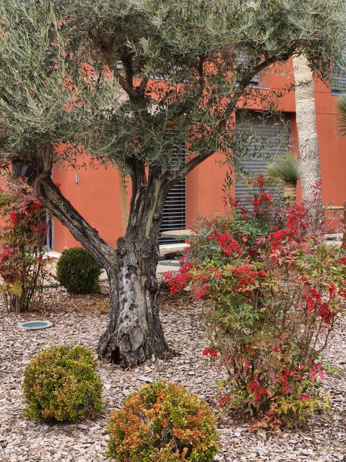 test-poco-x7-pro-photo-zoom-x2-4.jpg