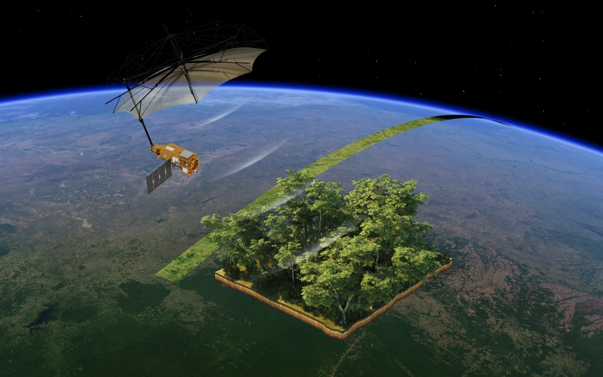 satellite-biomass.jpg
