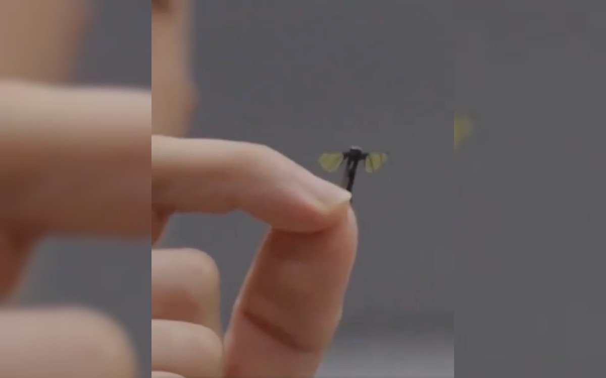 drone-moustique-espion.jpg