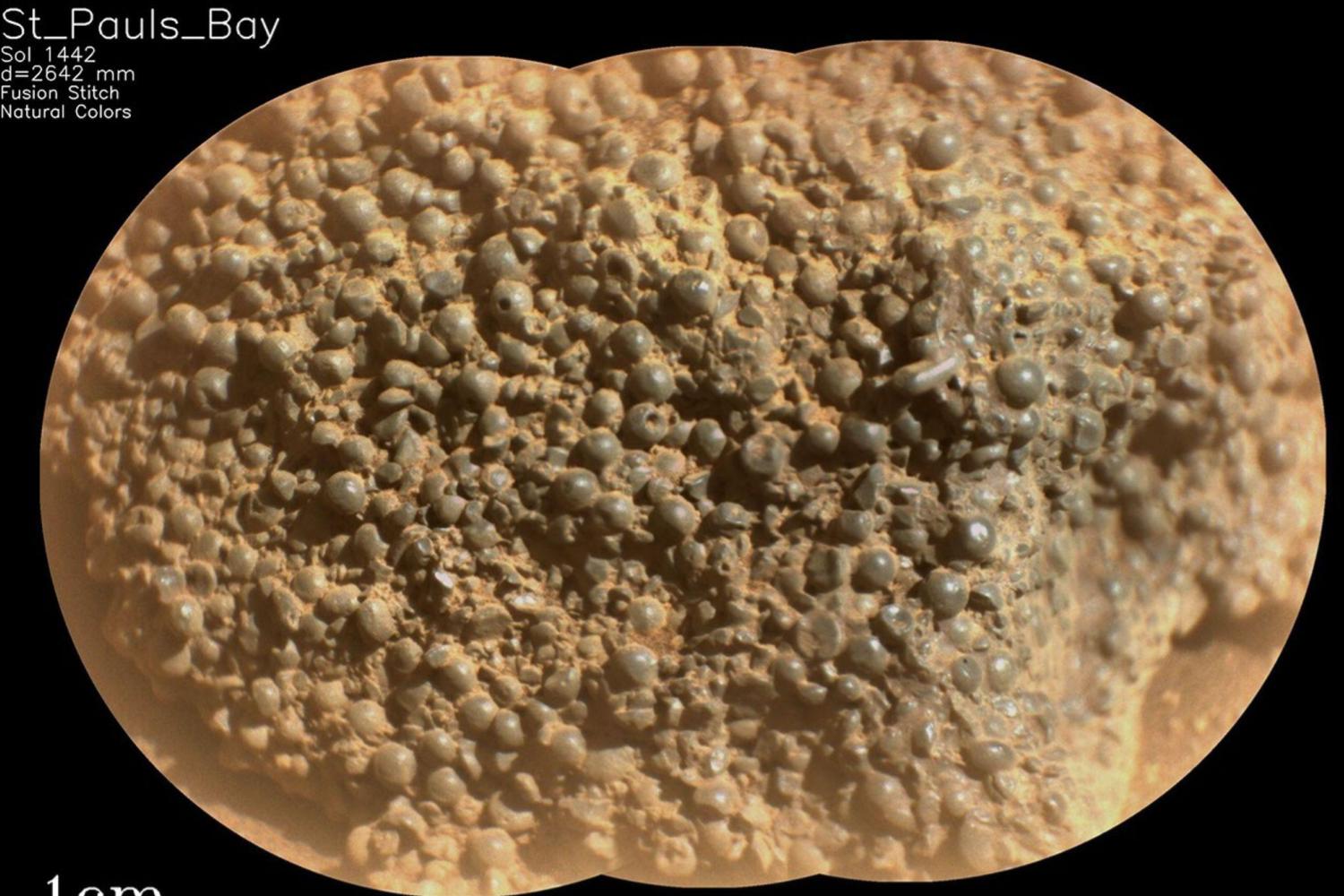 nasa-persevrance-myrtilles-zoom.jpg