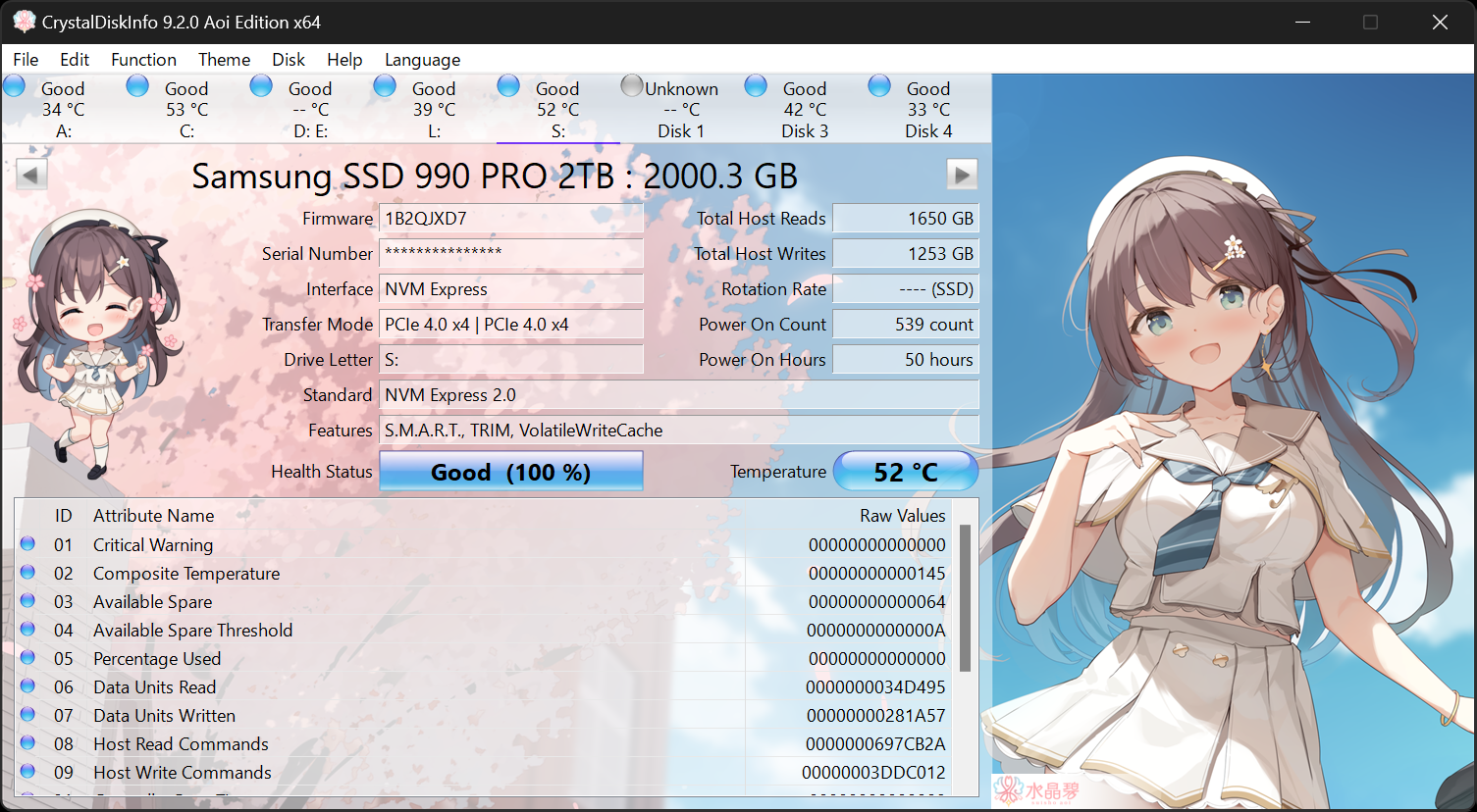 CrystalDiskInfo9Aoi-en.png