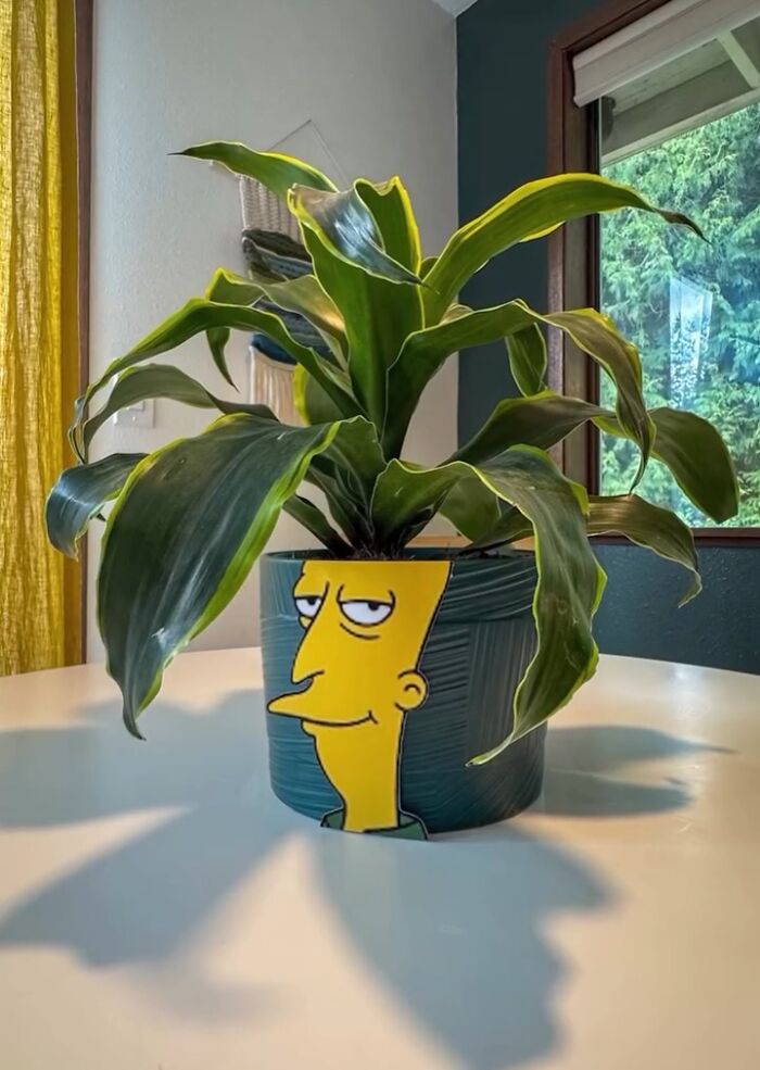 67ffd_tahitibob.jpg