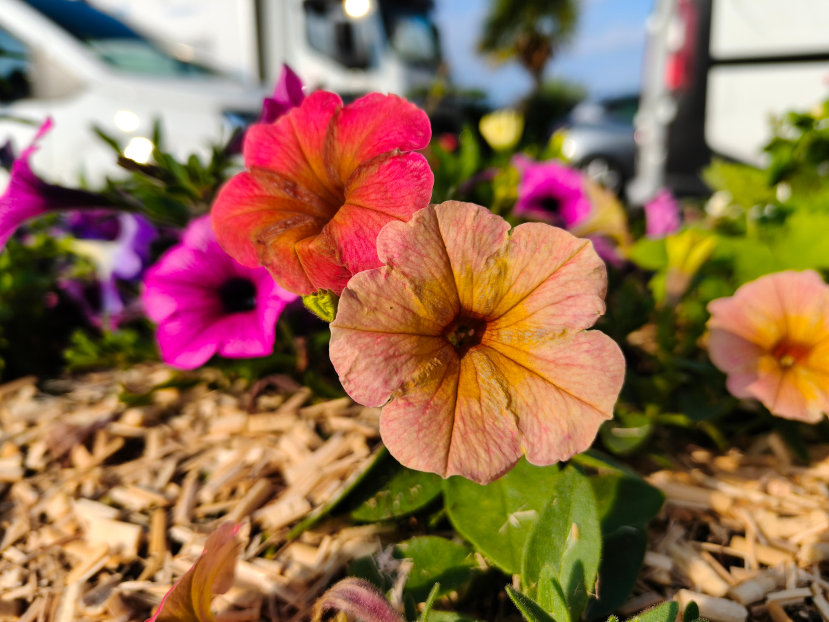 realme-gt-7-test-27.jpg