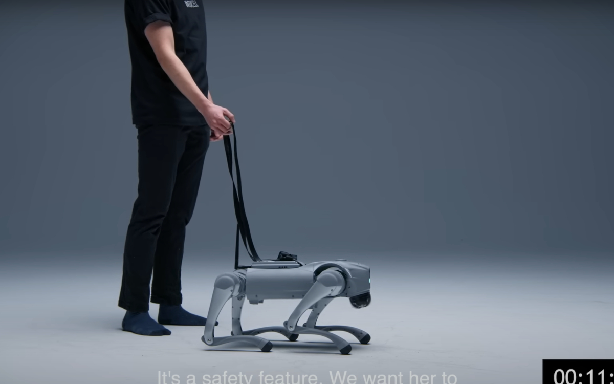 robot-chien-apprend-seul.jpg