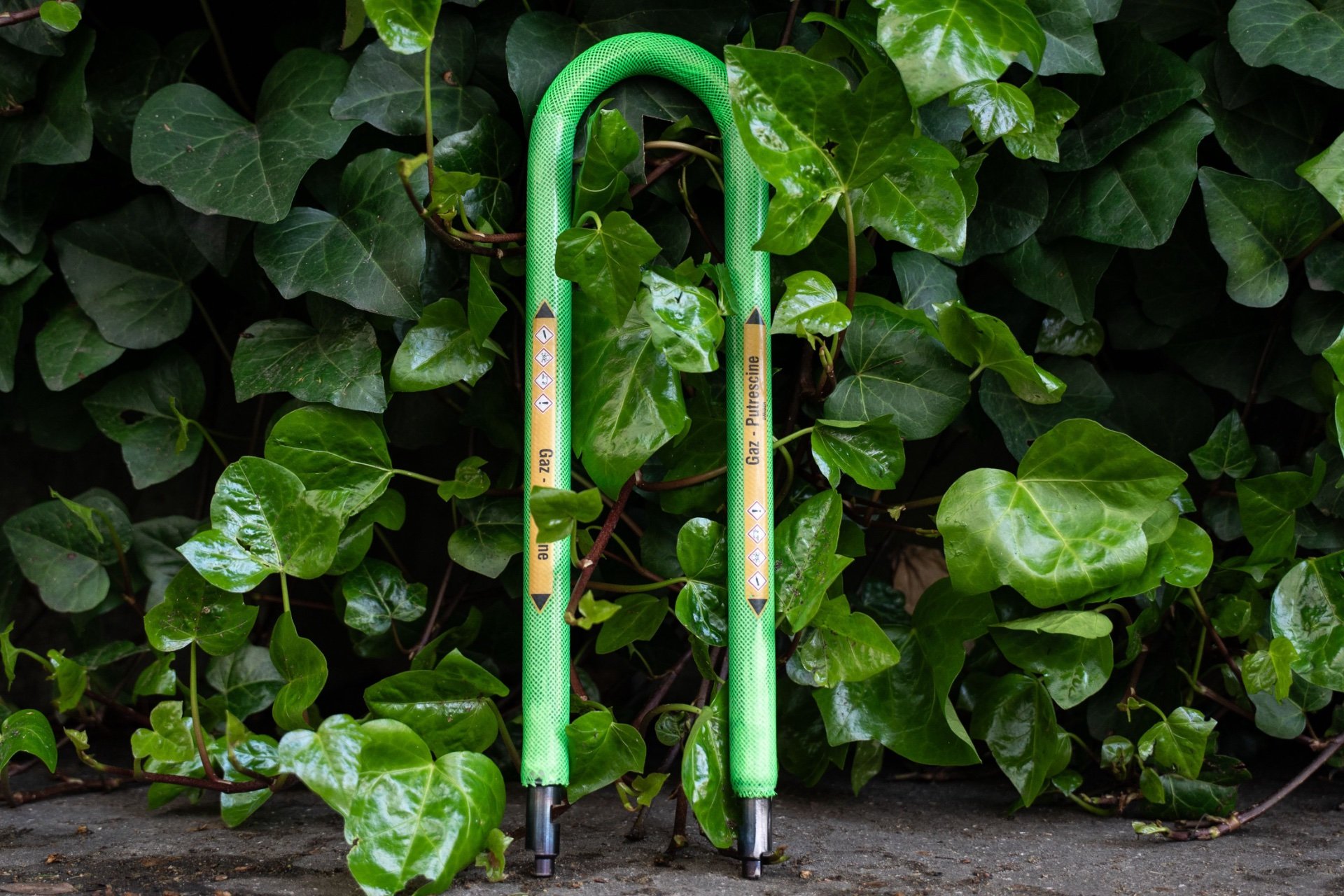 cactus-lock-2.jpg