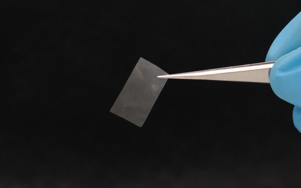 Materiau_mycelium_pour_remplacer_le_plastique.jpg