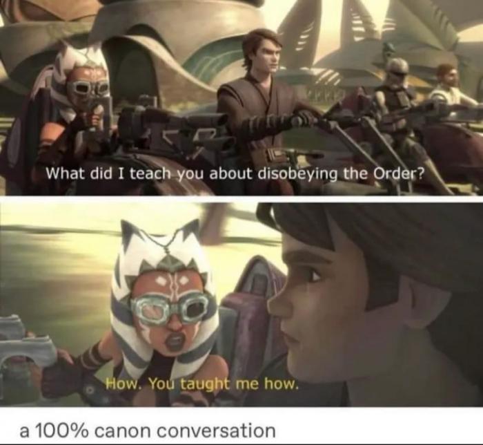 51e81_memedrolesw1.jpeg
