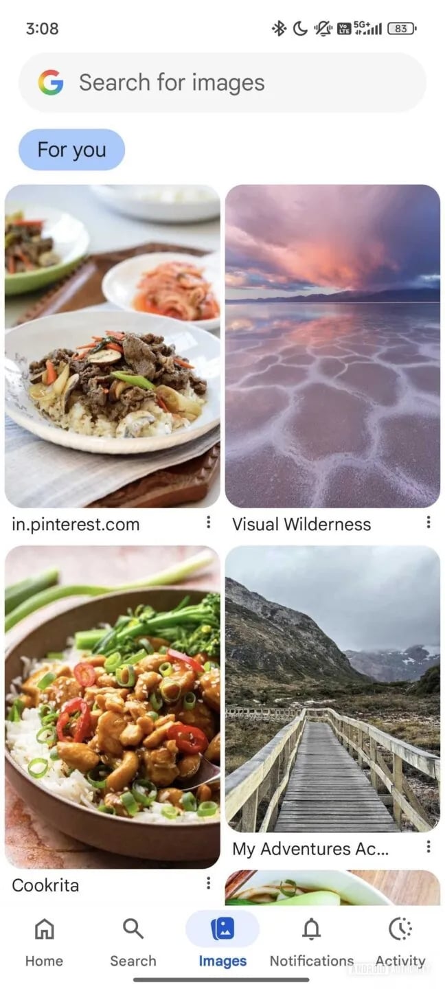 google-app-onglet-images.jpg