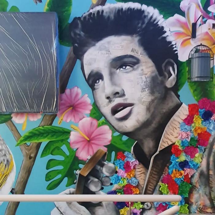 c0132_elvis.jpg