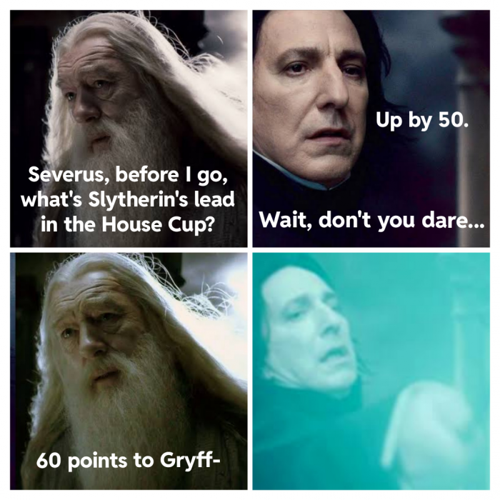 28d73_harrypottermeme3.png
