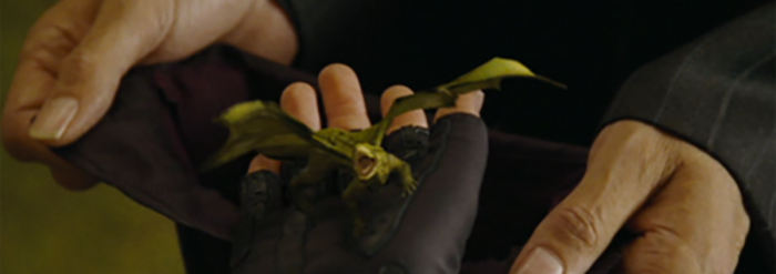 adadf_dragoncedricdiggoryharrypotter1.png
