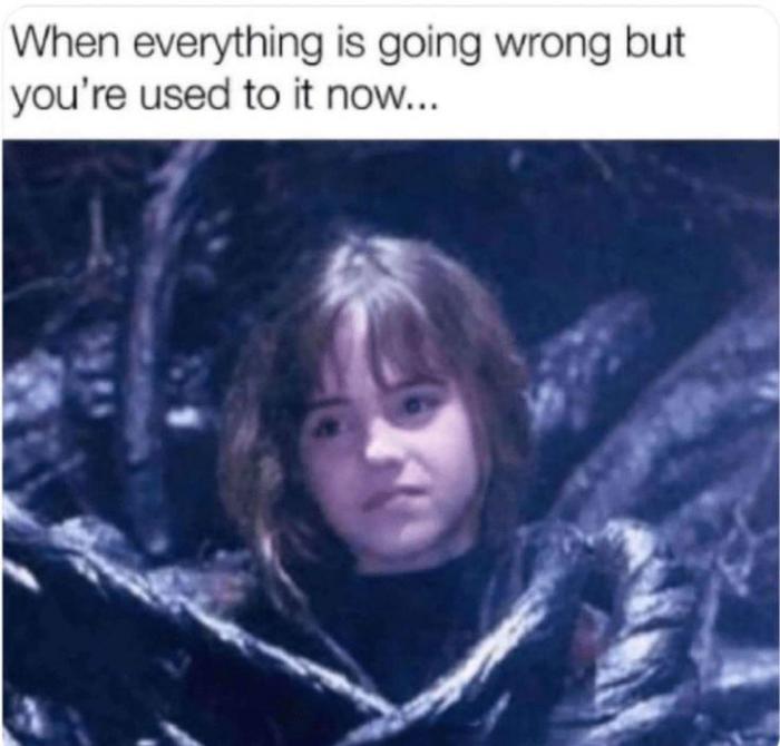 b1a7a_harrypottermemes6.jpeg