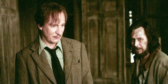 202ff_remuslupin.jpg