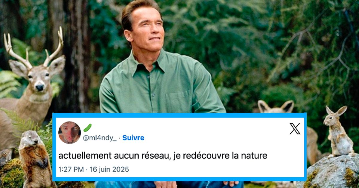 57828_sfr.png