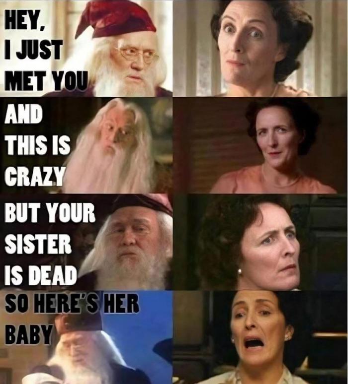 352d3_harrypottermemes3.jpeg