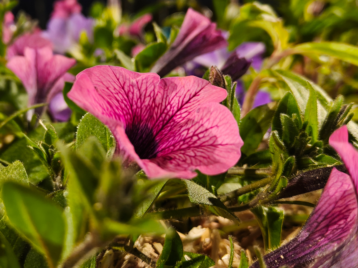 realme-gt-7-test-40.jpg