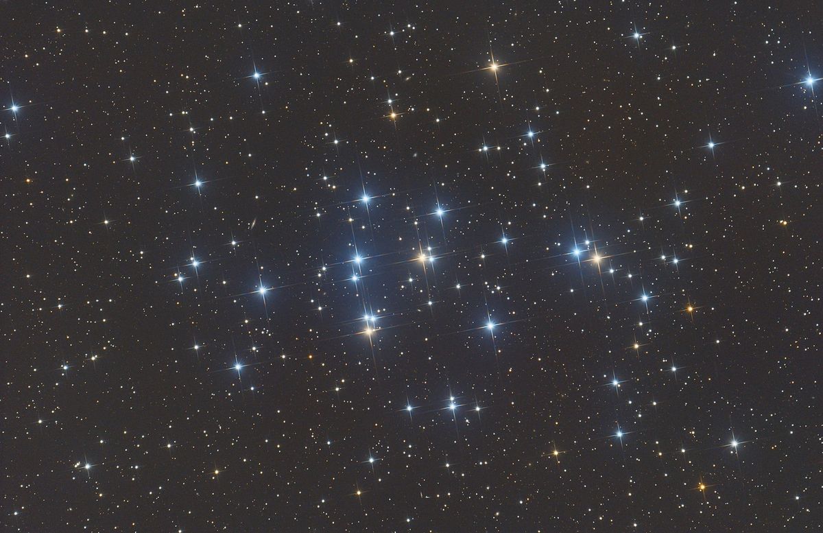 f2EeyQVGhp6a6yZDAX3ya6-1200-80.jpg