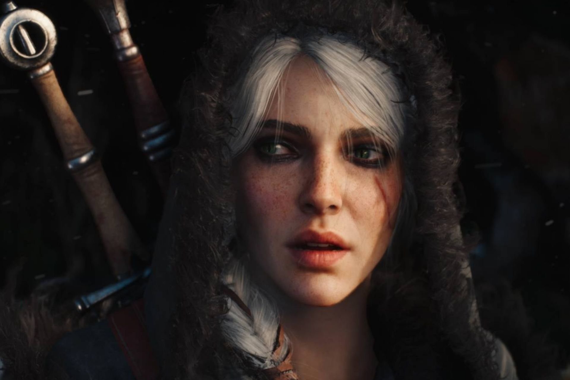 the-witcher-4.jpg