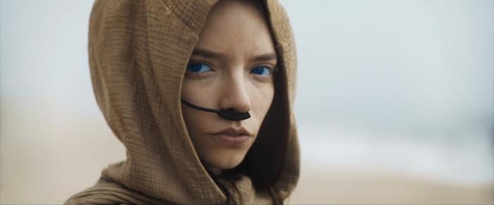 3c15f_dune2.jpeg