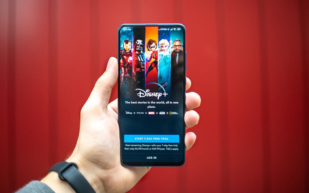 disney-plus-sondage-partage-comptes.jpg