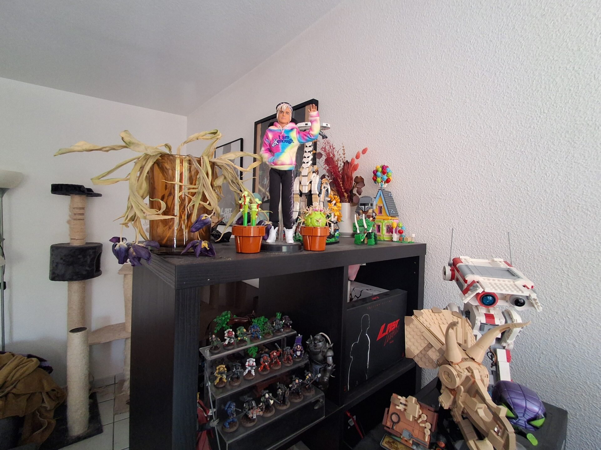 20250419_171508.jpg