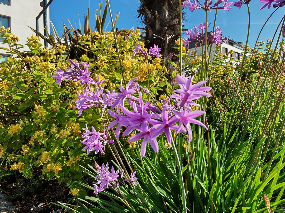 honor-400-test-17.jpg