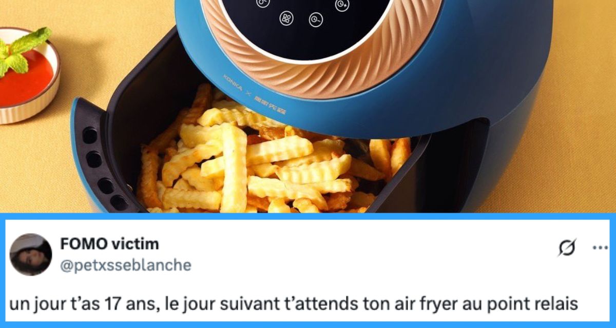 de142_hitekairfryermeilleurstweets.jpg