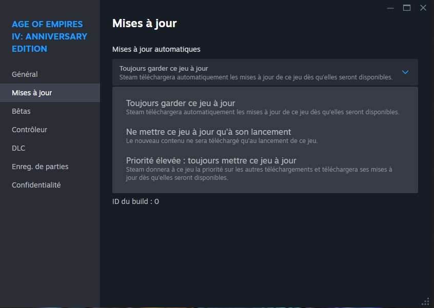 parametres-telechargement-steam-aoe-IV-remi-bouvet.jpg