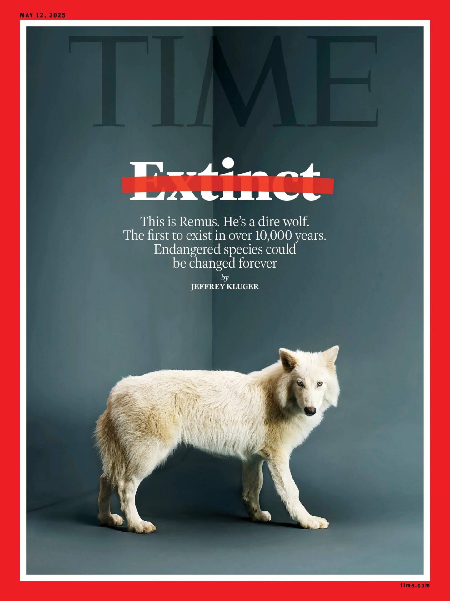 times-colossal-dire-wolf.jpg
