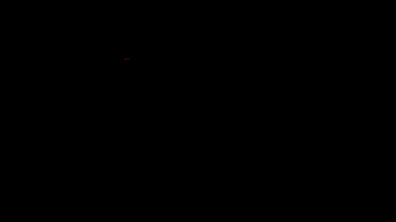 KzPWLw5UcjVSvEXNV65hJm.gif