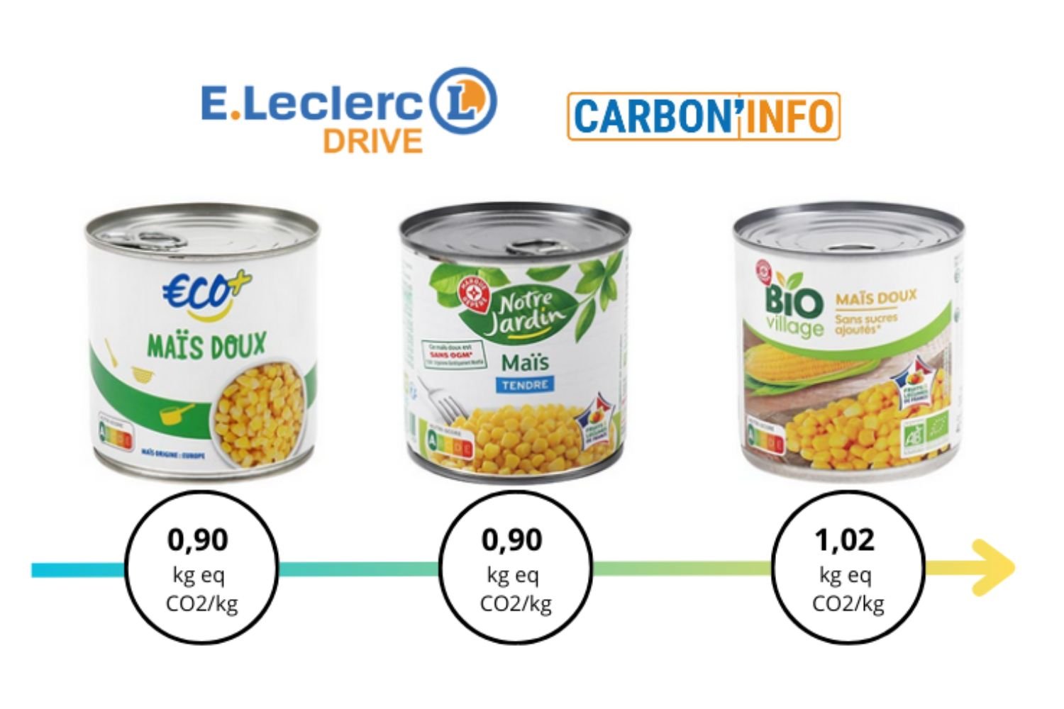 carboninfo.jpg