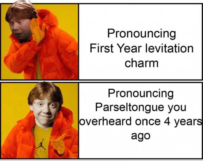 2dbf8_harrypottermeme4.jpeg