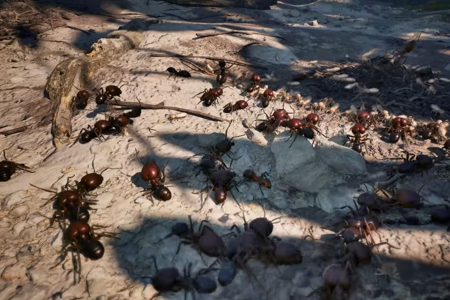 fourmis-gameplay.jpg