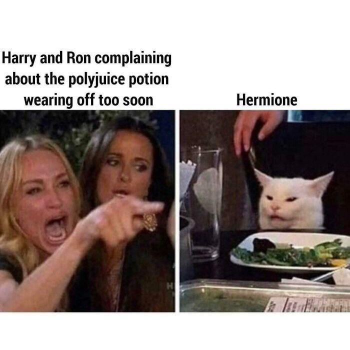 238e2_harrypottermemes.jpeg