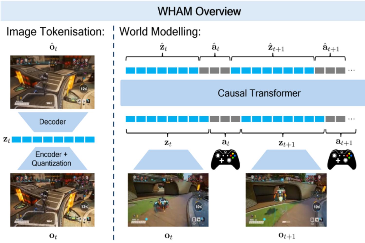 muse-microsoft-tokenisation.jpg
