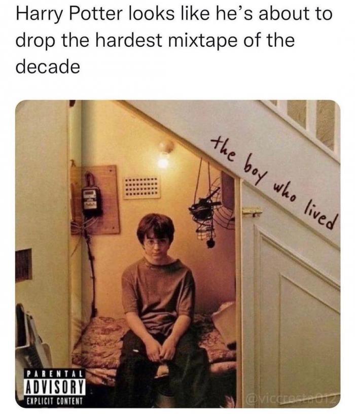 6499a_harrypottermeme15.jpeg