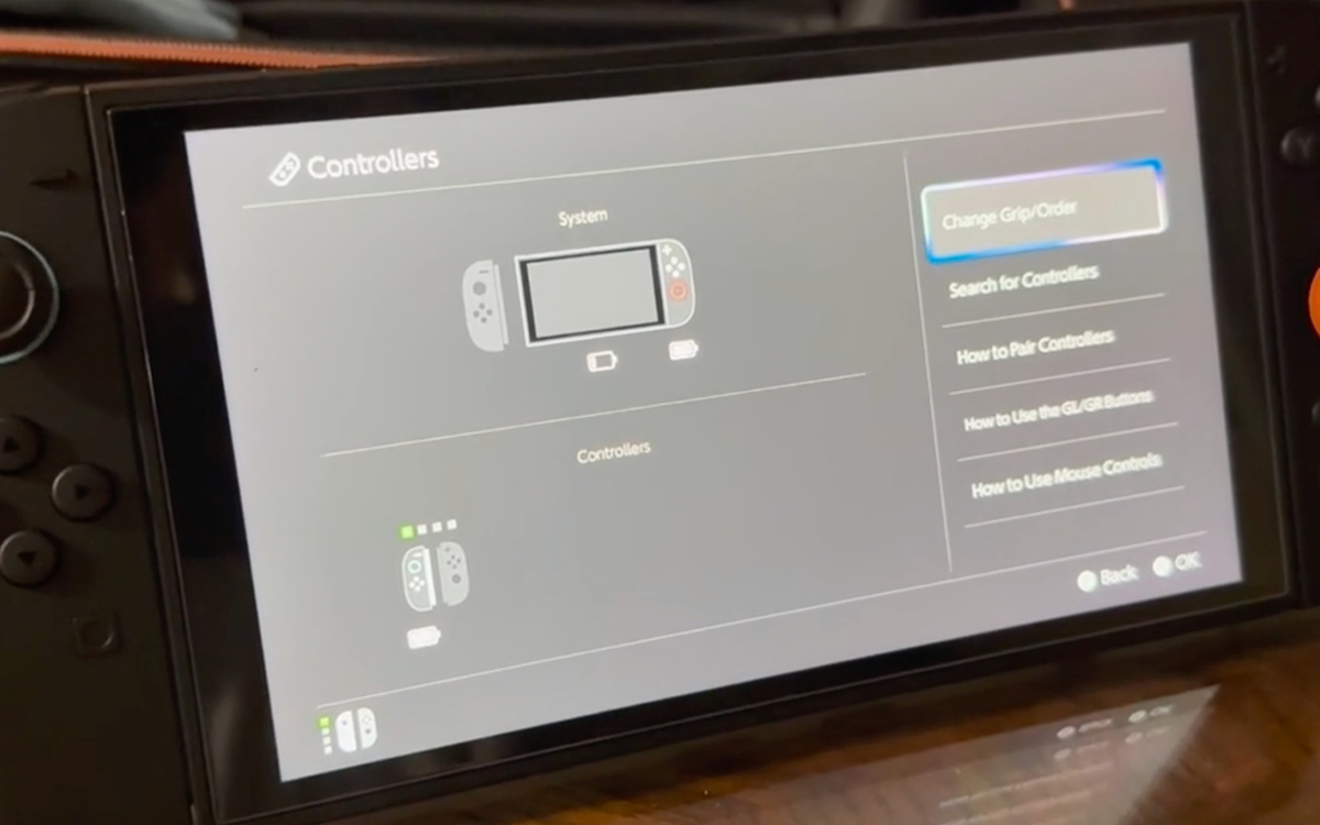 Joy_Con_Switch_2_bug.jpg
