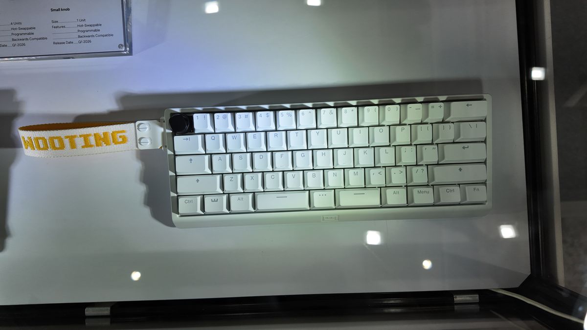 jsfNsmK2CqmSHF56sE7Uo-1200-80.jpg